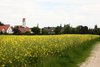 StadtbergerLauf2014_IMG_9643_2015_05_14